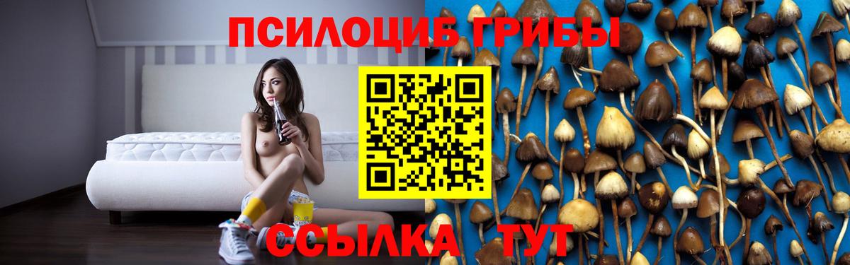 Галлюциногенные грибы ЛСД Ессентуки