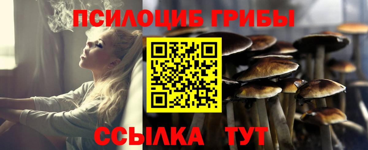 как найти   Вход с VPN  Ессентуки  Галлюциногенные грибы ЛСД 